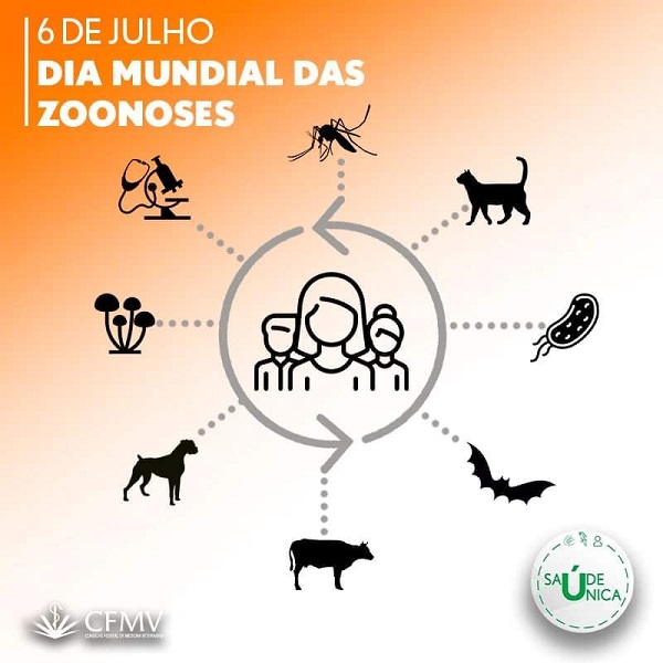 Vacinando e curando animais doentes — Animal Ethics